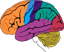 Neuro surgery